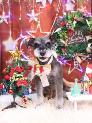 20231210ドンくん